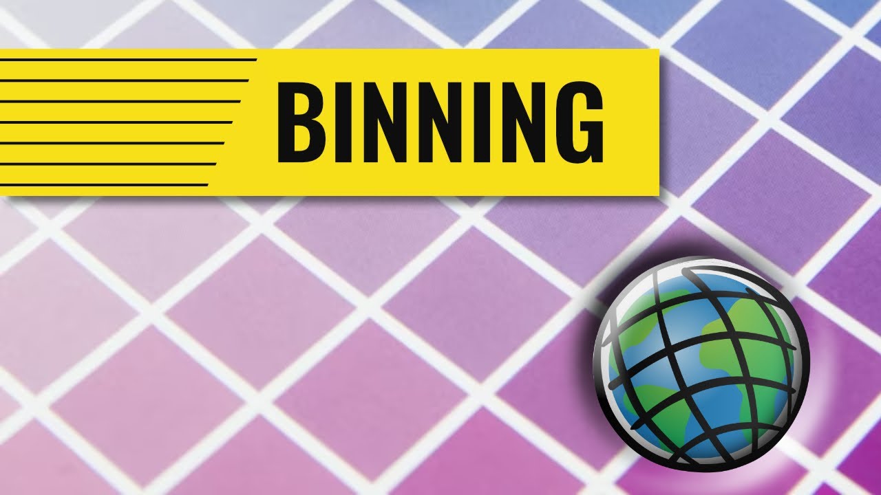 Intro to Binning with ArcGIS JavaScript